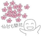 サクラ開花.jpg